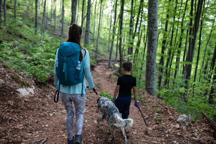 kobieta z psem i dzieckiem na spacerze w lesie